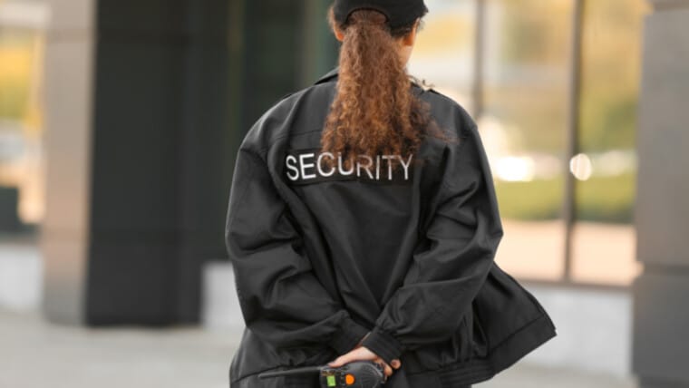 Brief Overview of Private Security